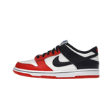 Nike Dunk Low EMB NBA 75th Anniversary Chicago