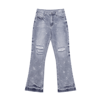 Azul Flare Denim