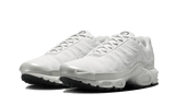 Nike Air Max Plus Reflective Platinum