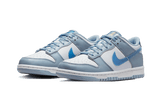 Nike Dunk Low Hologram
