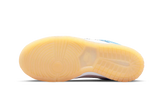 Nike Dunk Low Nike 101