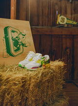 Nike Air Max 90 Grateful Dead University of Oregon Grateful Ducks