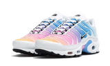 Nike Air Max Plus Summer Gradient