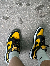 Nike Dunk Low Black University Gold