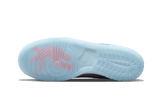 Nike Dunk Low Union Passport Pack Argon
