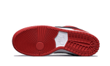 Nike SB Dunk Low Pro Chicago